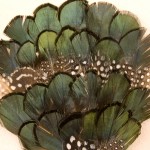 Green and Guinea Hen feathers glued to a buckram background